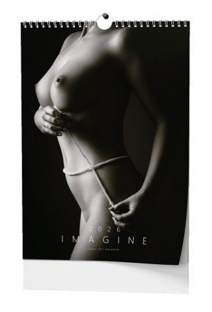 Kalendář nástěnný Imagine - A3 2026 / 45cm x 32cm /