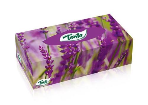 Kapesníky v boxu "Family Box", 2 vrstvé, 120 útržků, TENTO (3)