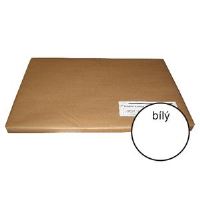Kreslicí karton A1/100/180g - bílý