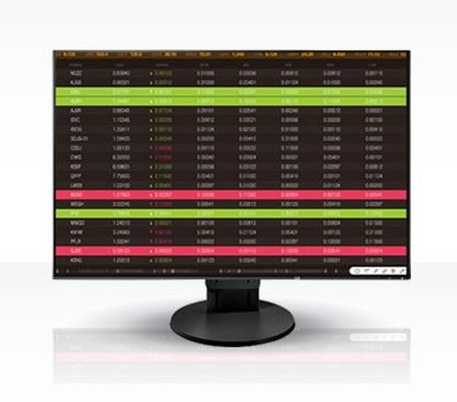 24" LED EIZO EV2456-WUXGA,IPS,DP,USB,piv,rep,bk