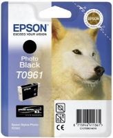 EPSON SP R2880 Photo Black (T096)