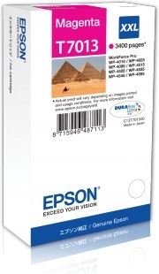 epson-C13T70134010-t7013